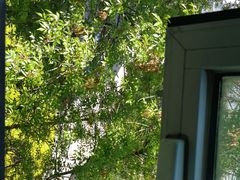 -北京国家会计学院