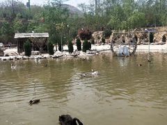 -五龙山野生动物王国