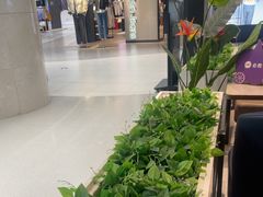 -必胜客(上海新南方商城PH店)