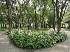 -玲珑塔公园
