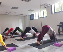 -榕树上·瑜伽普拉提