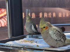 -岁粤Moon·湖景餐厅(月光码头店)