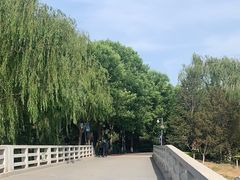 -大兴滨河森林公园