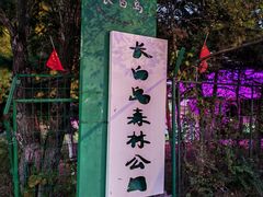 -长白岛森林公园