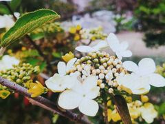 -南山风景名胜区