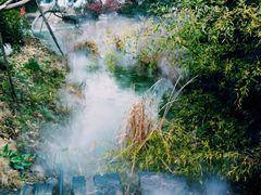 -武汉紫薇都市田园