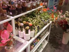 -KKV(上海月星环球港店)