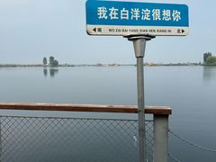 -白洋淀景区