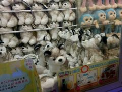 -小象猛犸(炫地购物中心店)