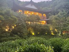 -十八棵（老龙井）御茶园(老龙井店)
