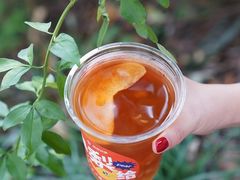 -炖物24章·顺时轻养茶(黄龙店)