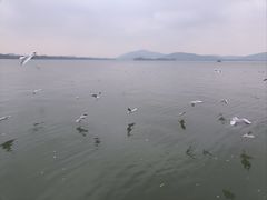 -蠡湖大桥公园