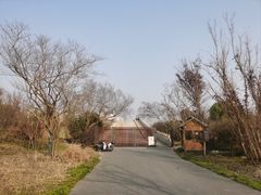 -广富林郊野公园