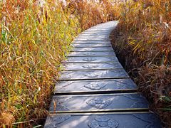 景点-西安汉城湖景区
