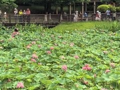 -沐仙湖湿地公园