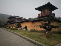 -习家池