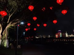 -万绿园