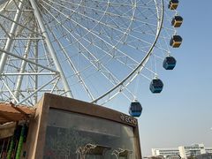 -琴岛之星摩天轮