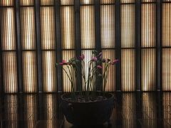 -上海璞麗酒店
