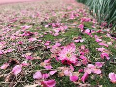 -杭州城北体育公园