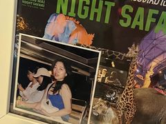 -清迈夜间动物园