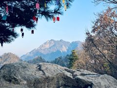 -太平万花山景区