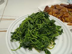 -海金滋(陕西南路店)