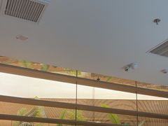 -星伦多自助料理·涮烤一体(杭州来福士店)