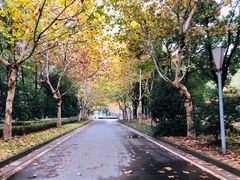 -南京奥林匹克体育中心-体育馆