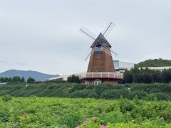 -君乐宝优致牧场