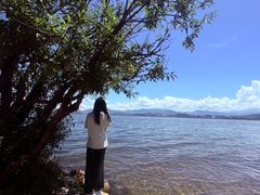 -洱海月湿地公园