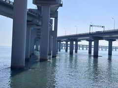 -星海湾跨海大桥