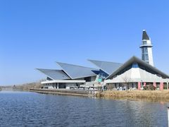 -盐城丹顶鹤湿地生态旅游区
