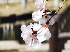 -三里河公园
