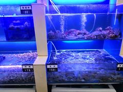 -老虎滩大连海鲜烧烤(建邺云锦路总店)