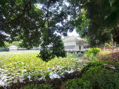 -荔湾湖公园