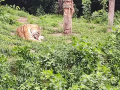 -大连森林动物园