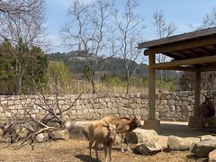 -苏州上方山国家森林公园