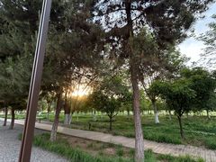 -汉长安城未央宫国家考古遗址公园