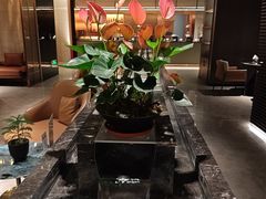 -汤泉良子·沐足·颂钵疗愈·SPA(珠江新城店)