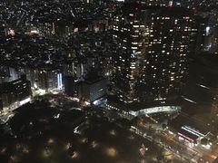 -东京都厅舍