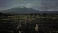 -翱翔飞越地平线