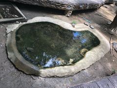 -清迈夜间动物园