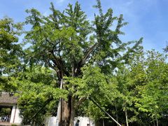 -上海佘山国家森林公园天马山园