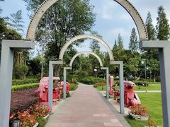 -成飞公园