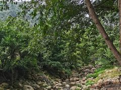 -武汉姚家山旅游景区