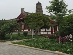 -法门文化景区