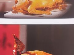 -大鸽饭(马王堆店)
