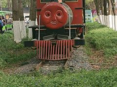 -合肥滨湖国家森林公园