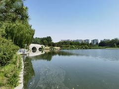 -大兴滨河森林公园